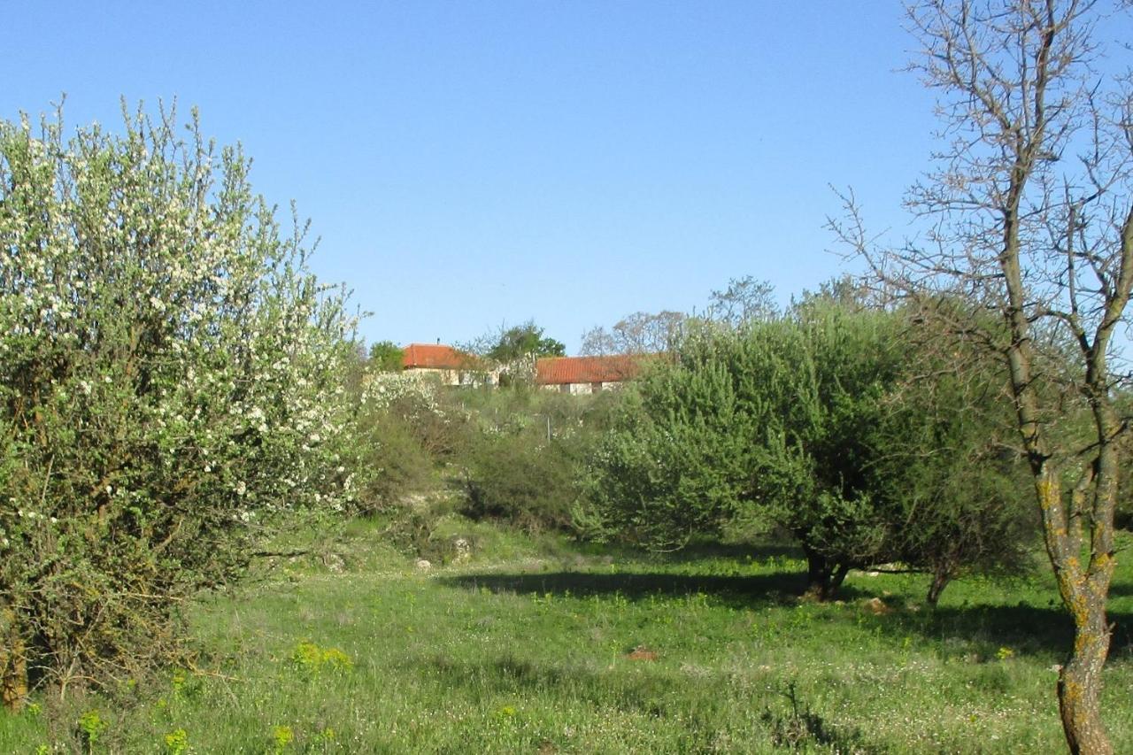 Вілла Stone House In A Quiet Landscape, Leonidion Екстер'єр фото